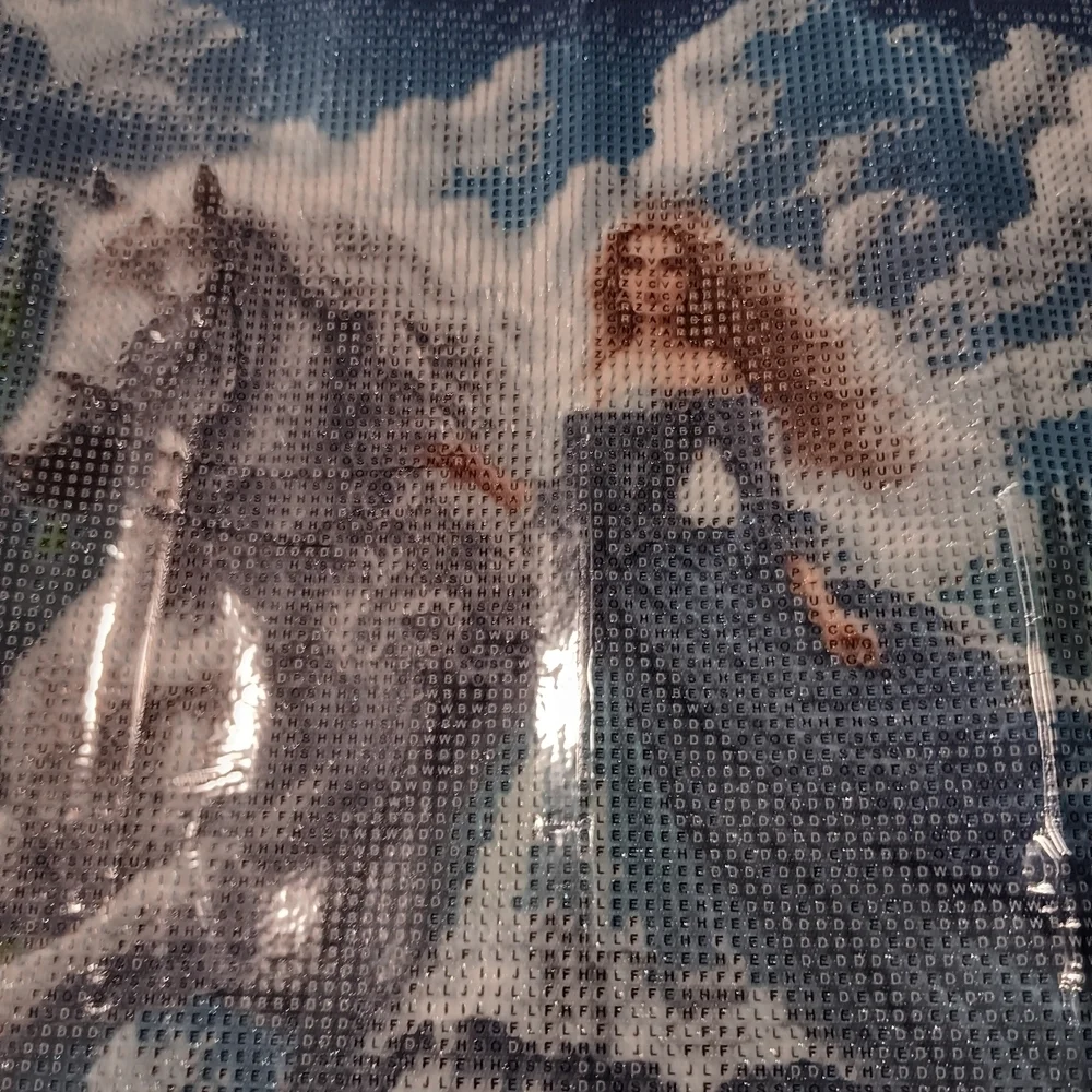 Diamond Painting Kit with Horse and Woman 40x40